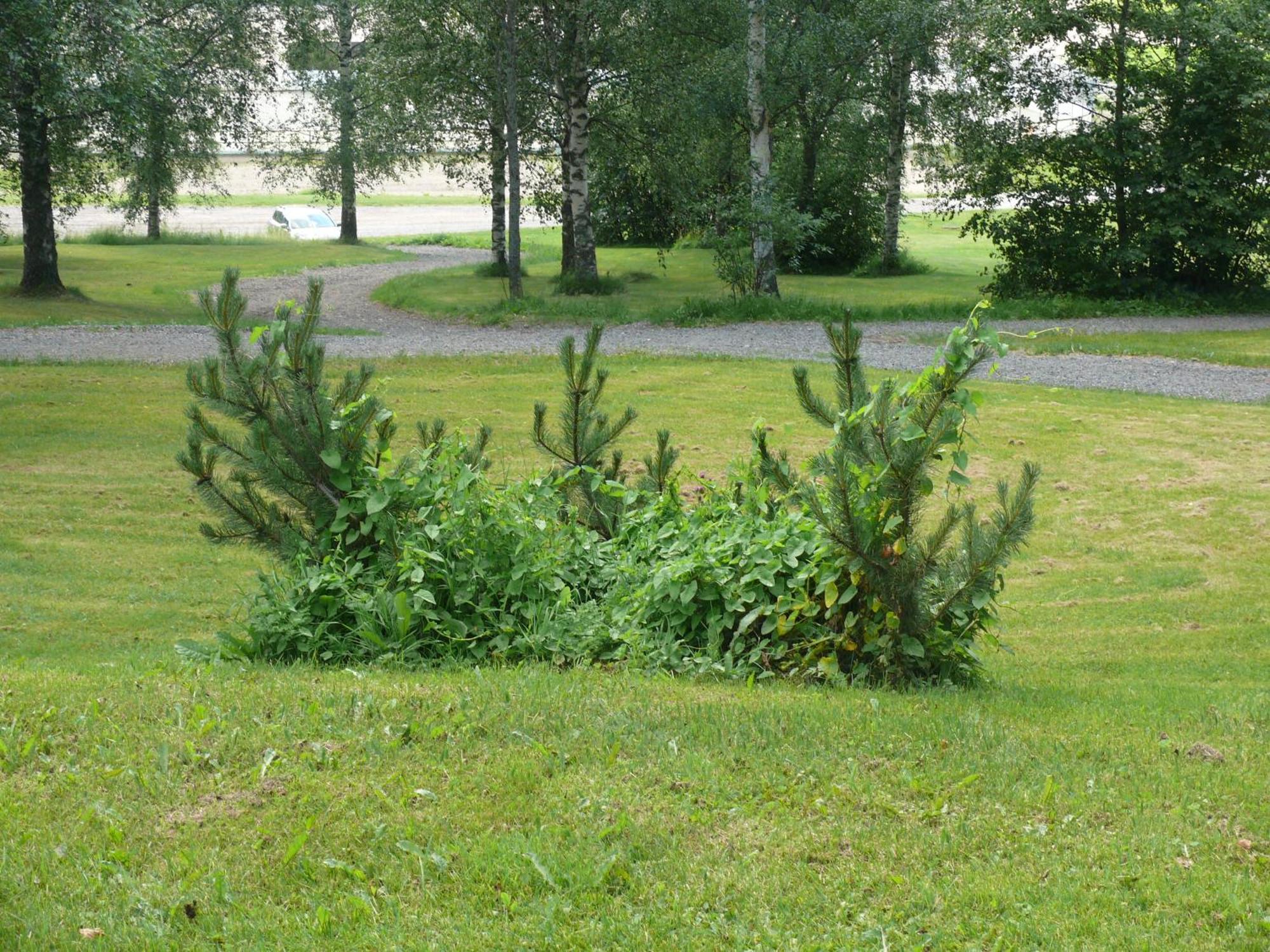 Huoneistohotelli Domusvirrat Exteriér fotografie